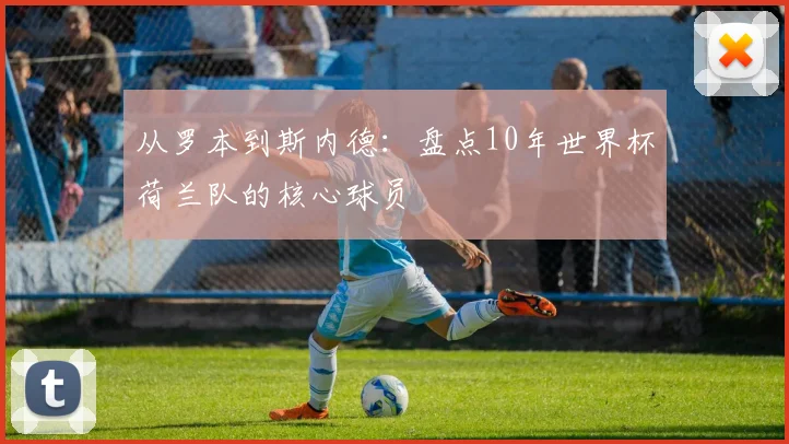从罗本到斯内德:盘点10年世界杯荷兰队的核心球员