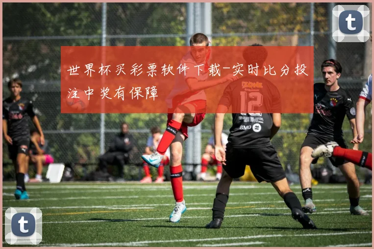 世界杯买彩票软件下载-实时比分投注中奖有保障