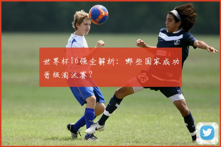 世界杯16强全解析：哪些国家成功晋级淘汰赛？
