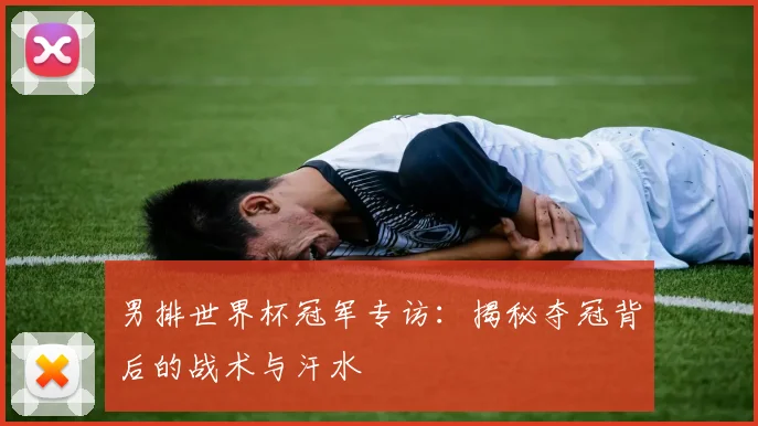 男排世界杯冠军专访：揭秘夺冠背后的战术与汗水