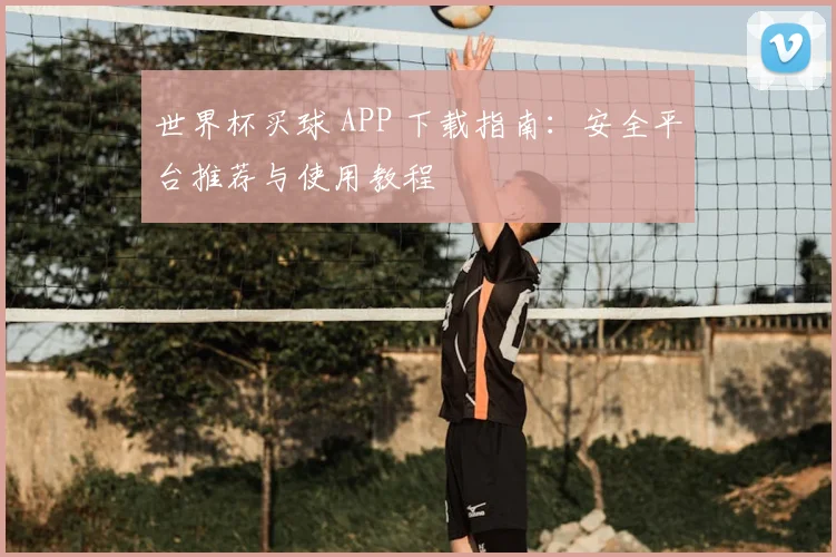 世界杯买球 APP 下载指南:安全平台推荐与使用教程