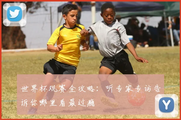 世界杯观赛全攻略：听专家专访告诉你哪里看最过瘾