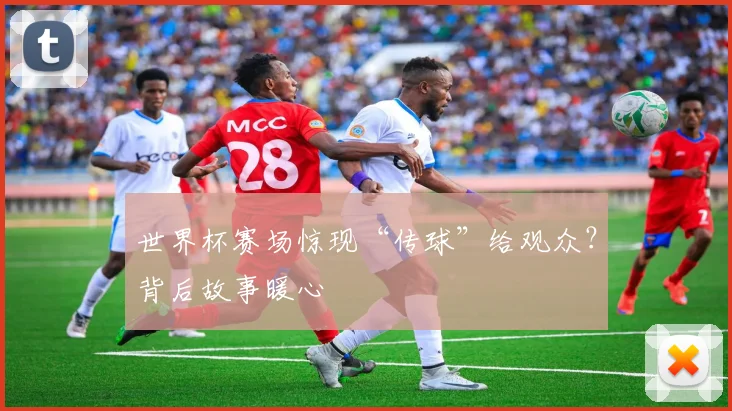 世界杯赛场惊现“传球”给观众？背后故事暖心