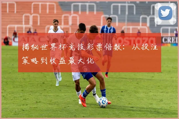 揭秘世界杯竞技彩票倍数：从投注策略到收益最大化